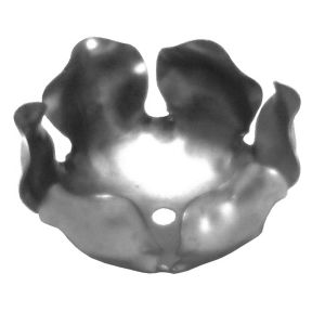 Cvet CV 35